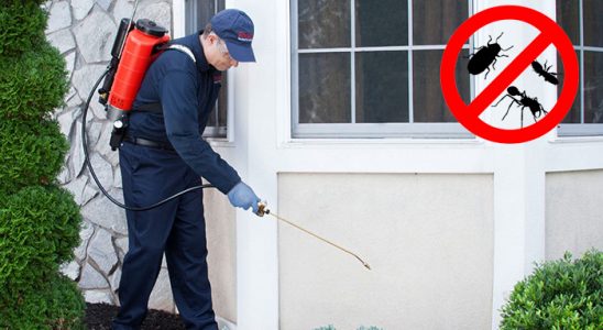 Korkuteli Karınca İlaçlama böcek ilaçlama ve haşere kontrolü — ilaclama-tr.com